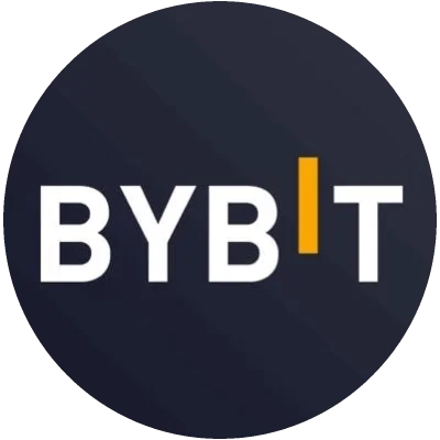 Bybit стандартная верификация